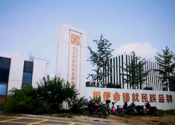 Qinhuangdao Lingbiao Technology
